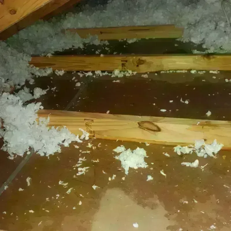 Attic Water Damage in Cobb, CA