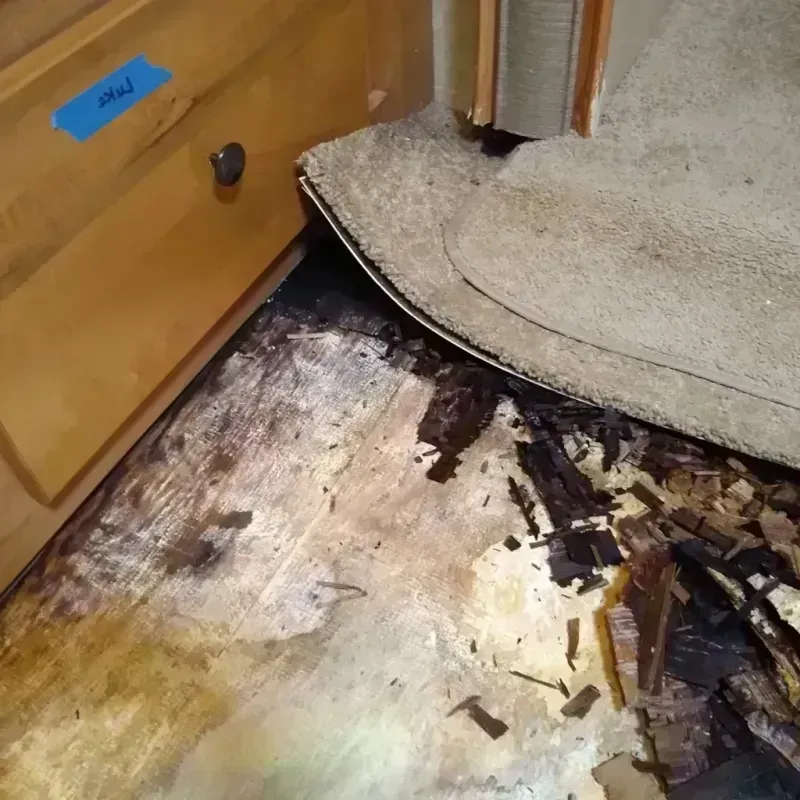 Wood Floor Water Damage in Cobb, CA